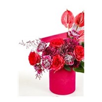 Pink Box Magic