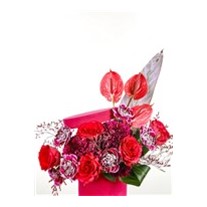 Pink Box Magic