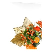 The Magic Of Orange