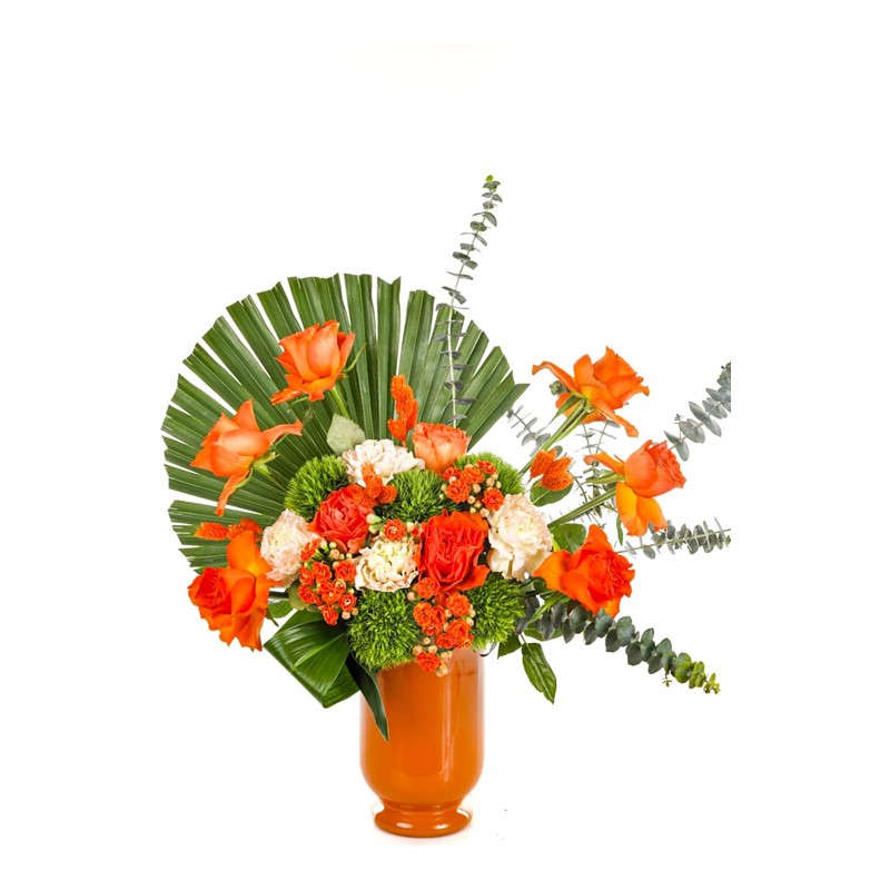 Cool Orange Rose