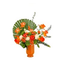 Cool Orange Rose