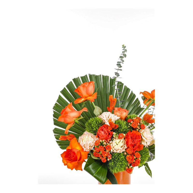Cool Orange Rose
