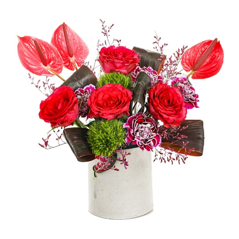 Anthurium Love