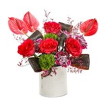 Anthurium Love