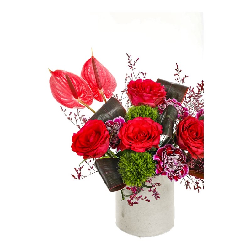 Anthurium Love