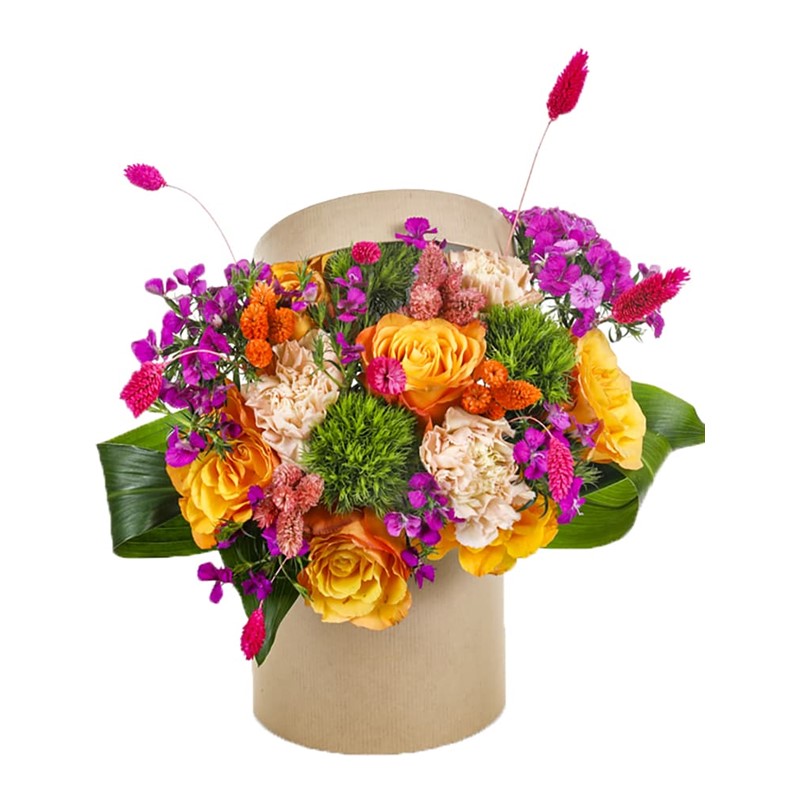 Orange Cute Box