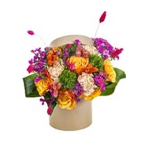 Orange Cute Box