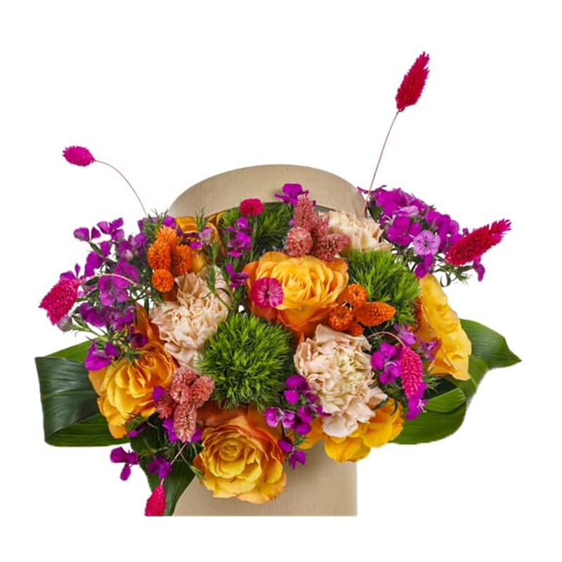 Orange Cute Box