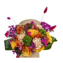 Orange Cute Box