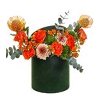 Green Box Orange Effect
