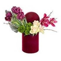 Purple Box Tulip Detail