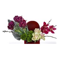 Purple Box Tulip Detail