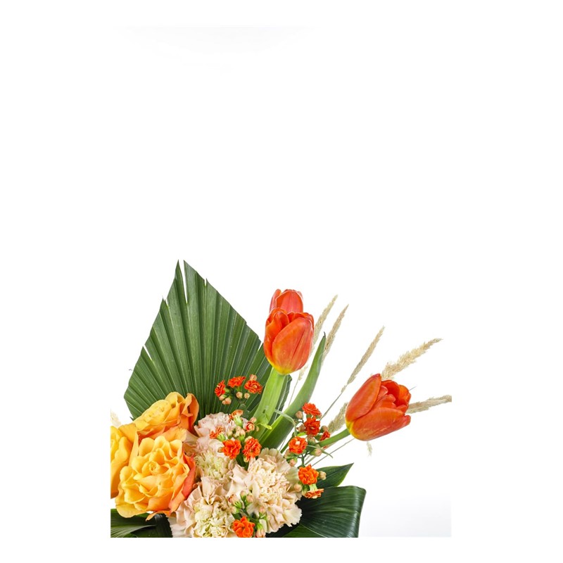 Orange Tulip Mood