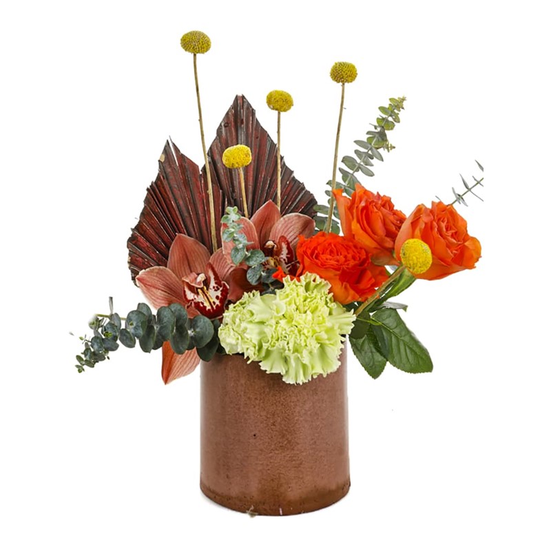 Brown Love Orchid