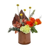 Brown Love Orchid