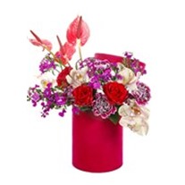 Pink Box Frenzy