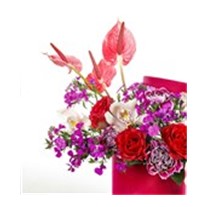 Pink Box Frenzy