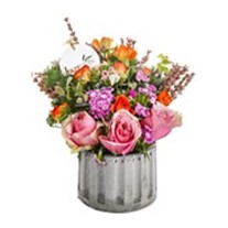 Mixed Press Seasonal Flowers