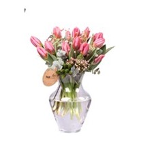 Pink Tulips - Lale