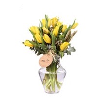 Yellow Tulips - Lale