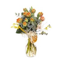 Basic Orange Laleler