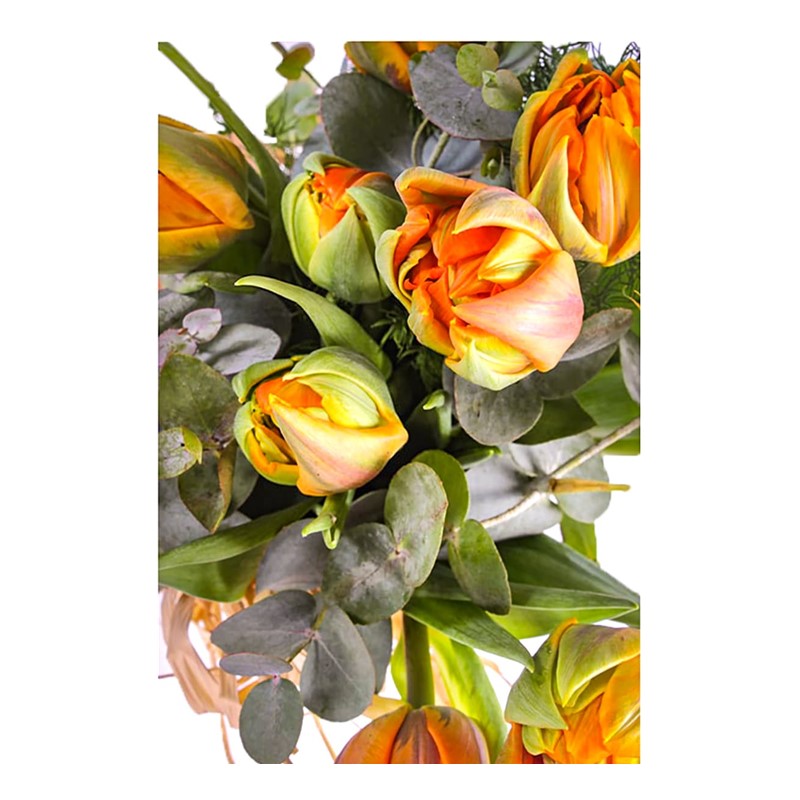 Basic Orange Laleler