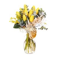 Basic Yellow Laleler