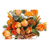 Sweet Orange Laleler