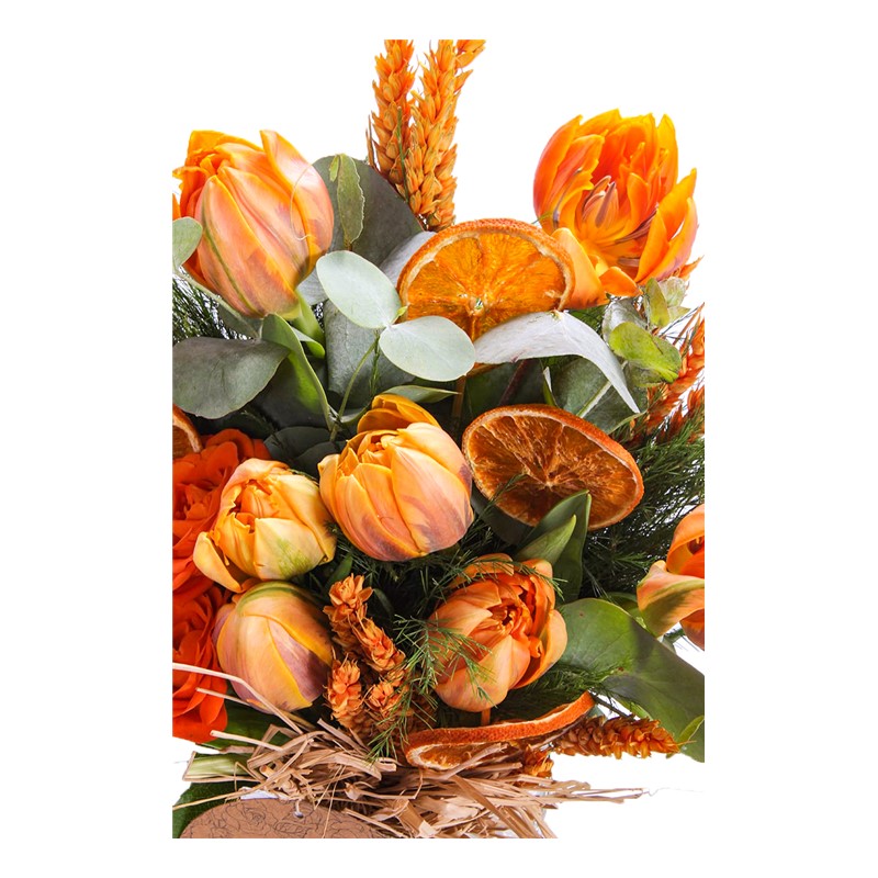 Sweet Orange Laleler