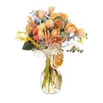 Sweet Orange Laleler