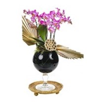 Black Vase Of Pink