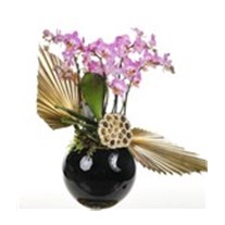 Black Vase Of Pink