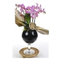 Black Vase Of Pink