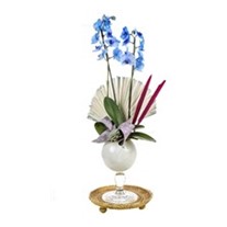 Sky Blue Orchid