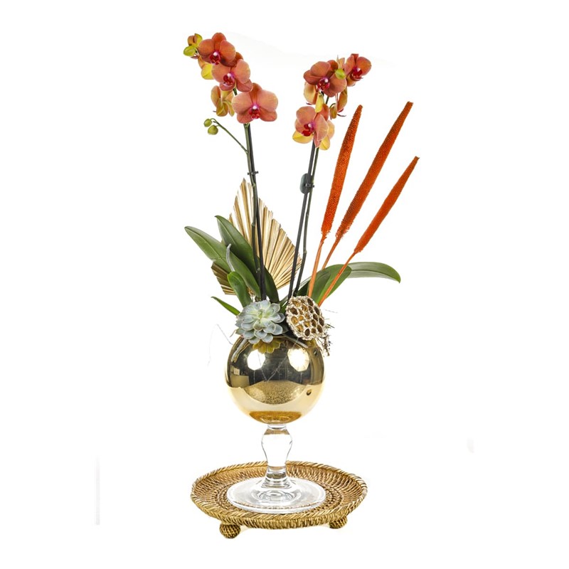 Golden Orchid Mood