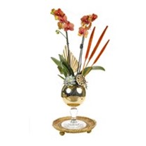 Golden Orchid Mood