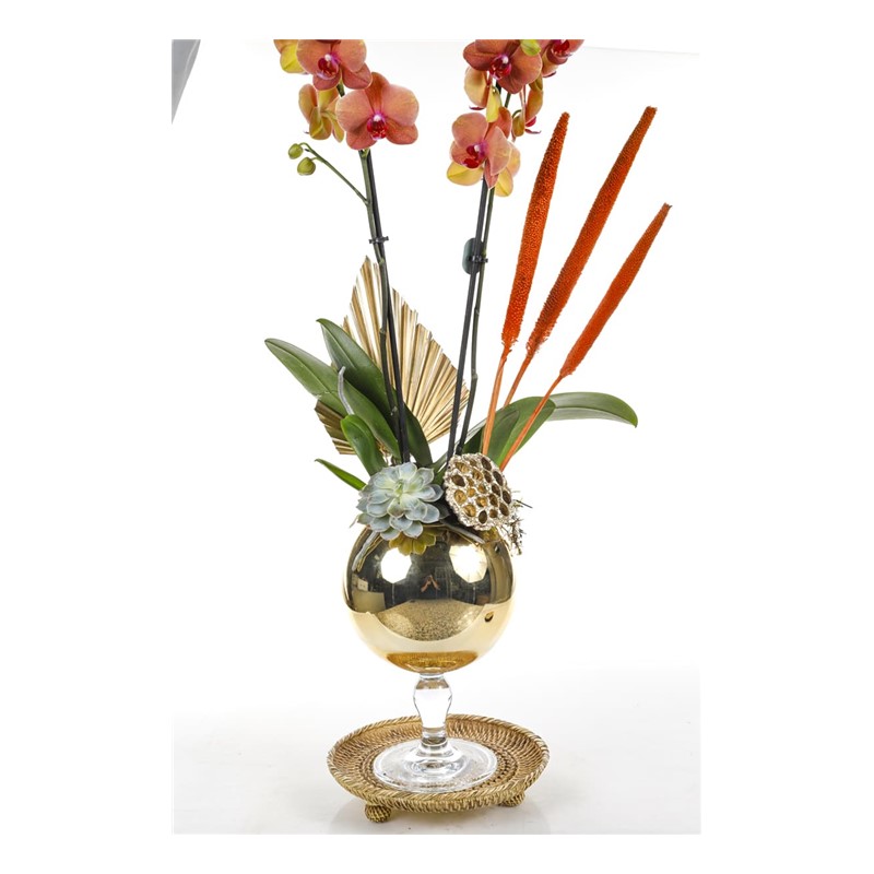 Golden Orchid Mood