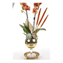Golden Orchid Mood