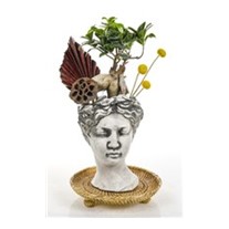 Bonsai In Helen