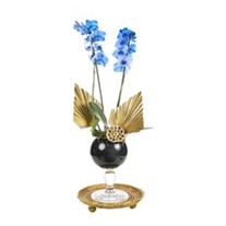 Gold Piece Mavi Orkide