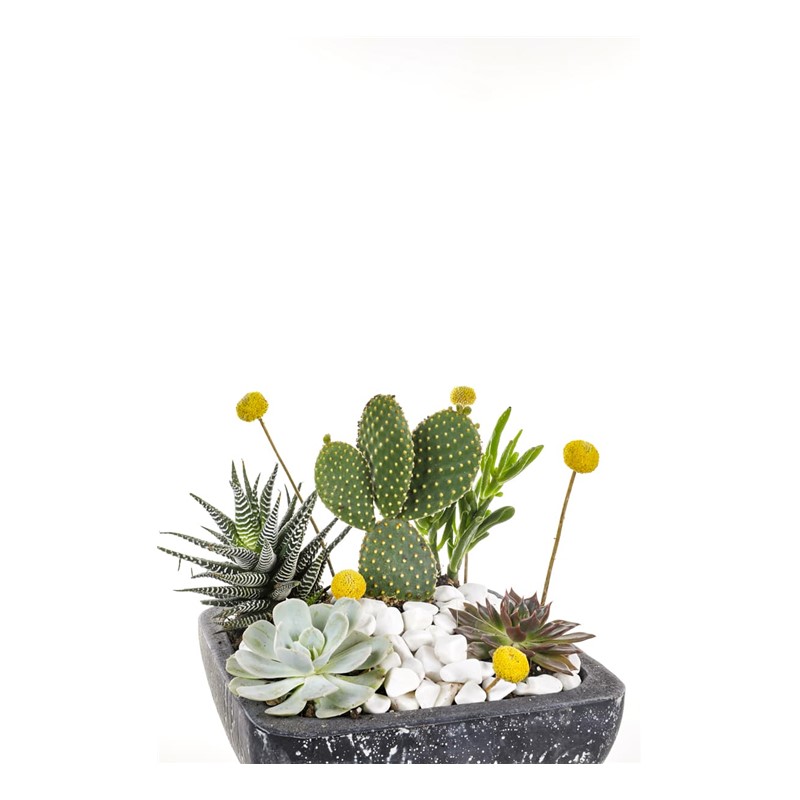 Walking Garden