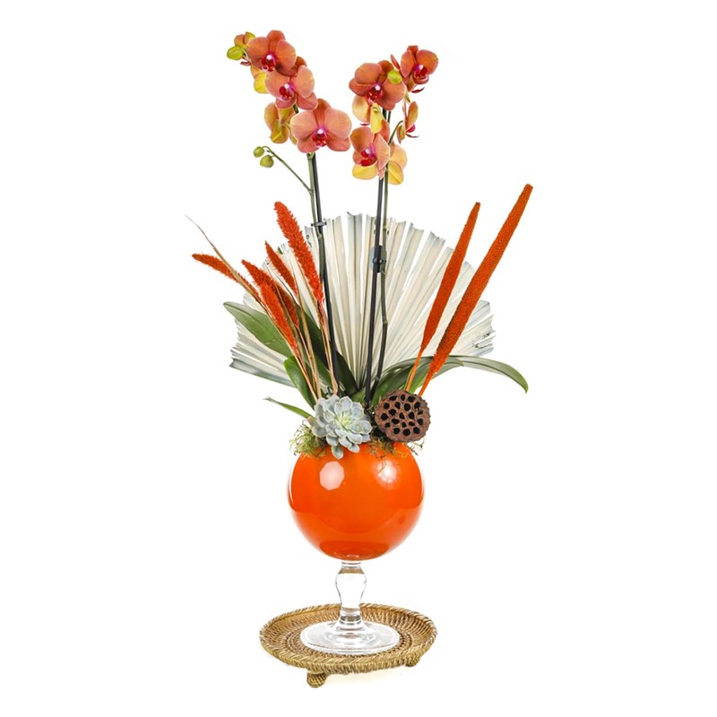 Passion For Orange