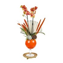 Passion For Orange