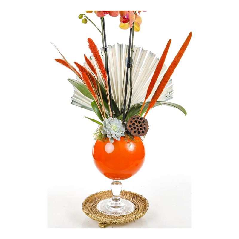 Passion For Orange