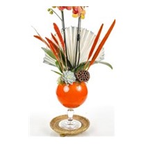 Passion For Orange