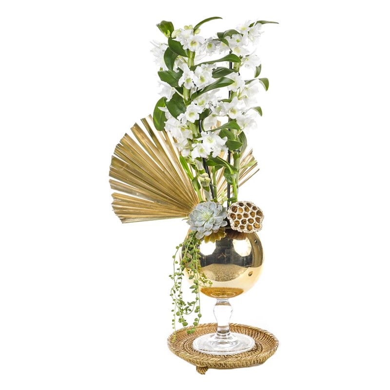 Dendrobium Of Gold