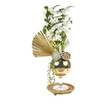 Dendrobium Of Gold