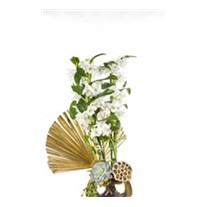 Dendrobium Of Gold