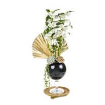 Dendrobium Of Black