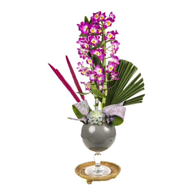 Dendrobium Of Grey
